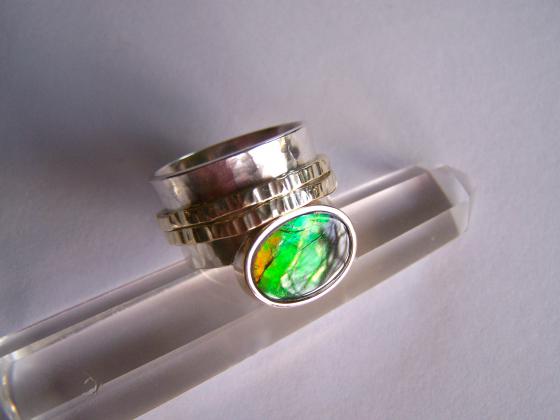 Ring 027
